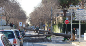 Els Bombers atenen 2.408 avisos relacionats amb el vent des de la mitjanit i el 112 n’acumula 4.558 per l’episodi