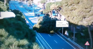 La caiguda d’arbres talla diverses carreteres i el fort vent afecta la circulació en d’altres