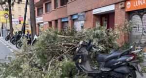 Els Bombers atenen 1.616 avisos relacionats amb el vent des de la mitjanit i el 112 n’acumula 3.163 per l’episodi