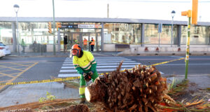 Els Bombers atenen 3.002 avisos relacionats amb el vent des de la mitjanit