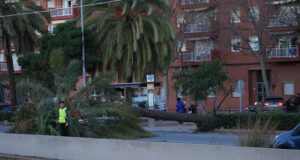 Els Bombers atenen 1.252 avisos relacionats amb el vent des de la mitjanit i el 112 n’acumula 2.612 per l’episodi