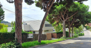 L’Ajuntament de Tiana rep l’estudi sobre l’arbrat a l’espai públic