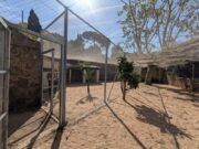Badalona inaugura la seva primera gatera municipal per a la reubicació de colònies de gats