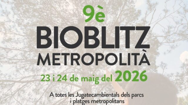 noticia_1779740547.jpg