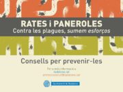 Badalona inicia la campanya per combatre les plagues de rates i paneroles