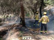 Alerta a Montigalà per un incendi de vegetació a tocar de la B-20