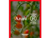 B Corp reconeix l’impacte social i ambiental d’Azura