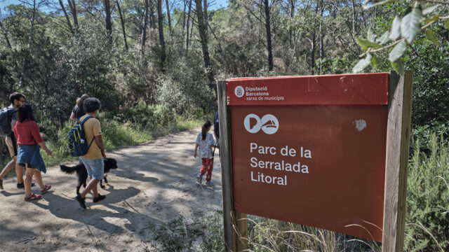 noticia_1782220477.jpg