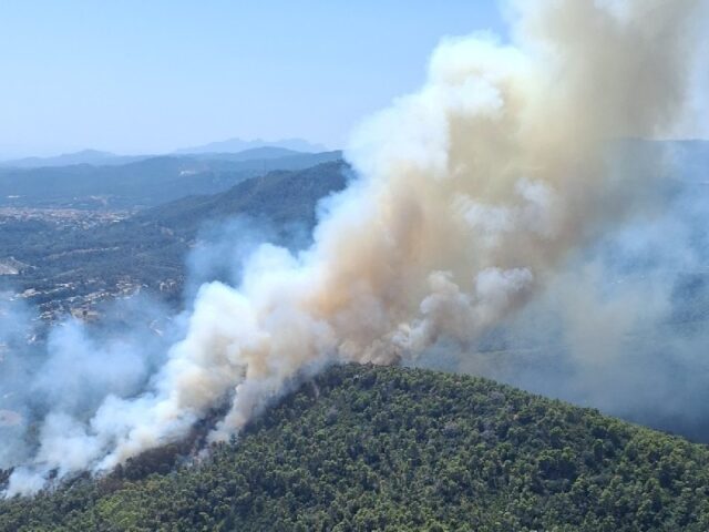 noticia_1783355447.jpg
