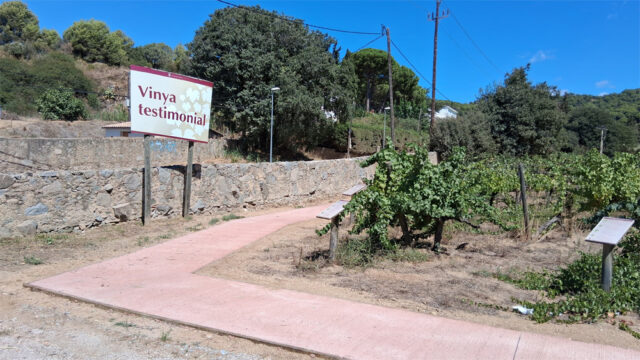 noticia_1789564470.jpg
